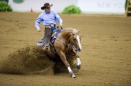 Alltech FEI World Equestrian Games 2010