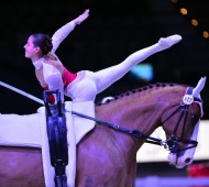 6.-9.12.2012, Salzburg, Pappas Amadeus Horse Indoors; FEI Vaulting World Cup; CVI-W; Anna Cavallaro (ITA) on Harley, lunger: Nel