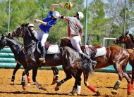 Horse Ball
