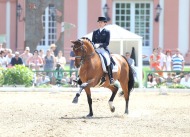 Dressage