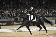 Alltech FEI World Equestrian Games 2010