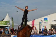 Vaulting Exhibition at the Foire de Caen - ©Comité d'Organisation Normandie 2014