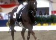 Isabel Werth (GER) and Gigolo, World Champion - ©Kit Houghton / FEI