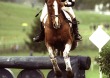 Eventing World Champion Blyth Tait (NZL) and Ready Teddy - ©Kit Houghton / FEI
