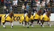 The Gold medal winning German dressage team on their lap of honour - ©FEI