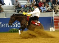 World Reining champion Duane Latimer (CAN) riding Hang Ten Surprise - ©FEI