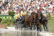 Ysbrand Chardon - NED leading driver after the marathon phase - ©FEI
