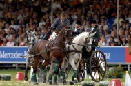 World Champion, Felix Brasseur in the obstacle driving - ©FEI