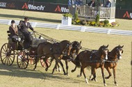 Ijsbrand Chardon - ©Rinaldo de Craen/FEI