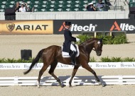 Michael Jung (GER) riding Le Biosthetique-Sam - ©Kit Houghton / FEI