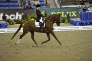Sophie Wells (GBR) riding Pinocchio - ©Kit Houghton / FEI