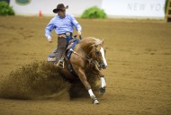 Stefano Massignan (ITA) riding Yellow Jersey - ©Kit Houghton / FEI