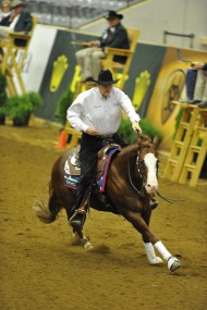 Tom Mccutcheon (USA) riding Gunners Special Nite - ©Kit Houghton / FEI