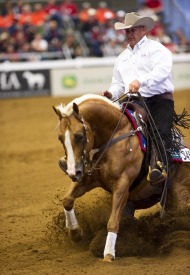 Shawn Flarida (USA) riding RC Fancy Step - ©Kit Houghton / FEI