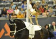 Simone Wiegele(GER) riding Arkansas - ©Kit Houghton / FEI
