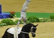 Patric Looser (SUI) riding Record RS von der Wintermuhle - ©Kit Houghton / FEI