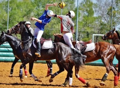 Horse-Ball: France wins the European championships 