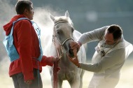 Endurance – 2013 Test Event – Bay of Mont St Michel - ©Philippe Millereau KMSP