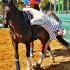 Photo Horse-Ball - ©Olivia Kohler JuNiThi