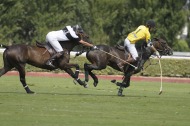 Photo de Polo - ©Comité d'Organisation Normandie 2014