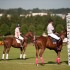 Polo - 