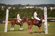 Polo - 