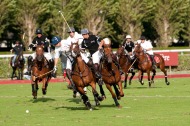 Polo Game - ©Sandrine Boyer