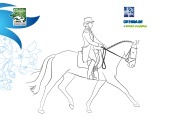 Dressage