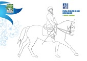 Para-Dressage