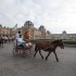 Paris Horse Fair Parade - Norman at the Pyramid du Louvres - November 2013 - ©Comité d'Organisation Normandie 2014