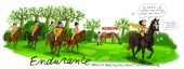 Endurance