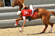 Horse Ball - ©Horse-Ball M³