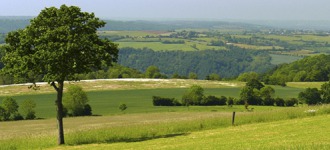 Territorial project