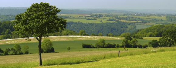 Projet Territorial Projet Territorial
