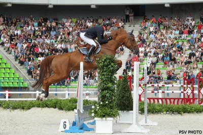 Patrice Delaveau: 