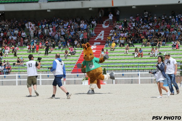 Norman the Mascot: 