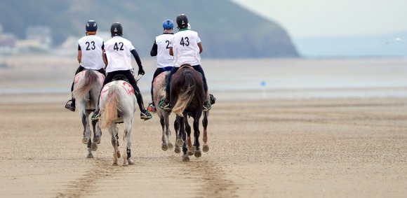 Record number of nominated entries for Endurance 