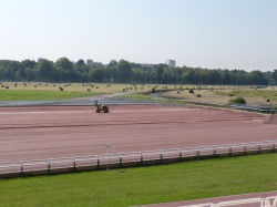 Hippodrome de la Prairie - 24 juillet 2014