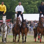 Tribal Equestrian Show