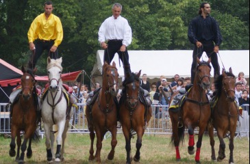 Tribal Equestrian Show