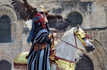 Equestrian Falconers (Amarok Keb)