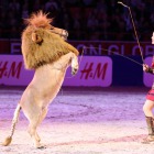 Melie Philippot & Pony-Lion