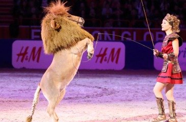 Melie Philippot & Pony-Lion