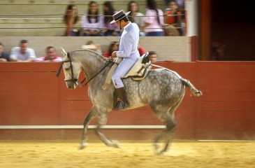 Doma Vaquera