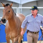 Andy Booth: I speak the Horse language