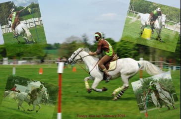 Pony Games