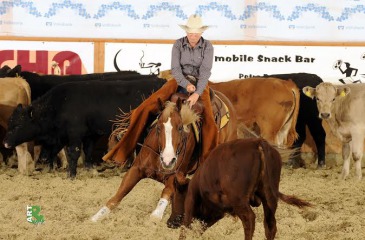Cabernet Cutting Horse Association