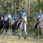 Endurance Demonstration
