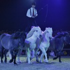 Pierre Fleury Highland Show