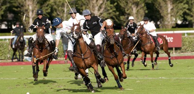 Polo Exhibition: an exciting programme ahead